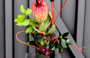 Red Spoon Protea in Small Circle Wire vase 